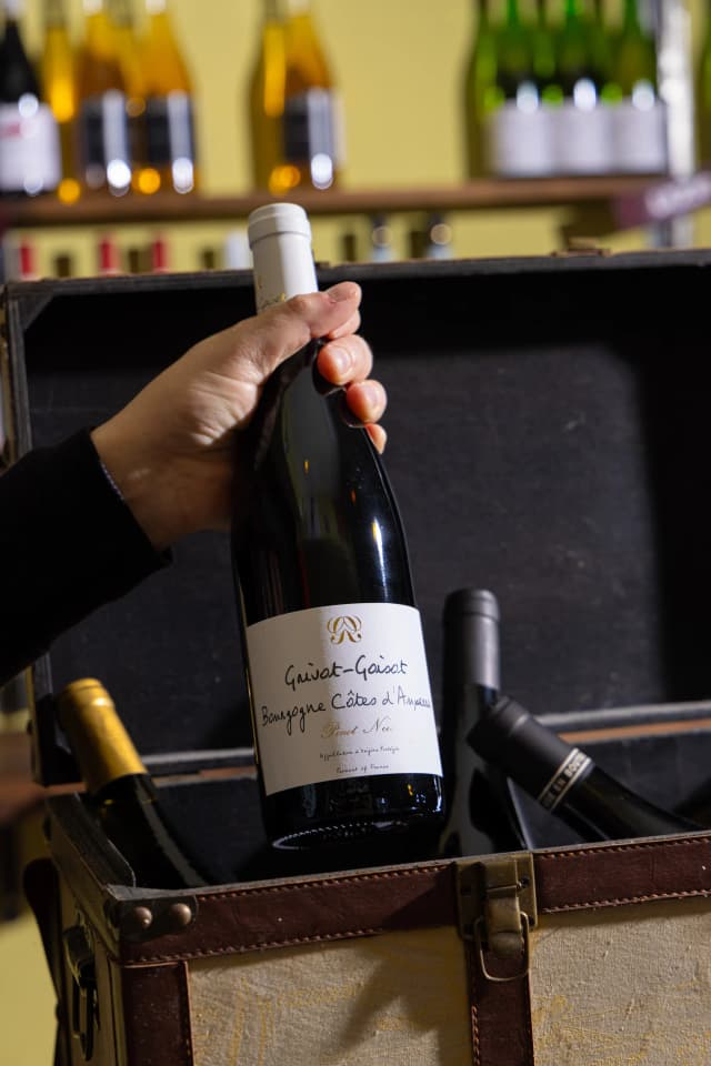 vino1